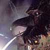 smoky dragon